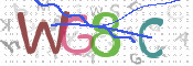 この文字を入力してください