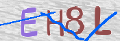 この文字を入力してください