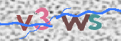 この文字を入力してください