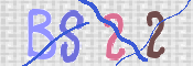 この文字を入力してください