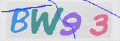 この文字を入力してください