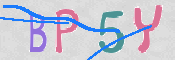 この文字を入力してください