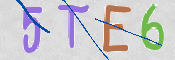 この文字を入力してください