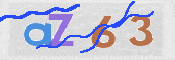 この文字を入力してください
