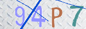 この文字を入力してください