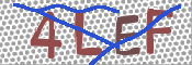 この文字を入力してください