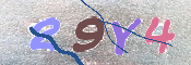 この文字を入力してください