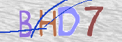この文字を入力してください