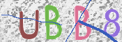 この文字を入力してください