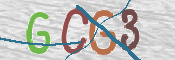 この文字を入力してください