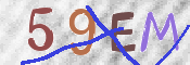 この文字を入力してください