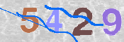 この文字を入力してください