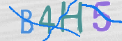 この文字を入力してください