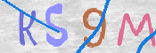 この文字を入力してください