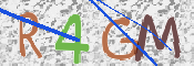 この文字を入力してください