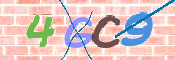 この文字を入力してください