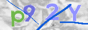 この文字を入力してください
