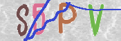 この文字を入力してください