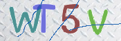 この文字を入力してください