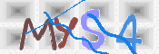 この文字を入力してください