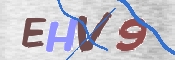 この文字を入力してください