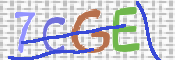 この文字を入力してください