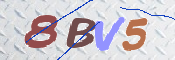 この文字を入力してください