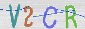 この文字を入力してください
