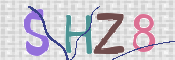 この文字を入力してください