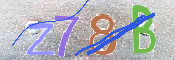 この文字を入力してください