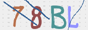 この文字を入力してください
