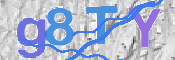 この文字を入力してください