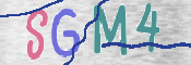 この文字を入力してください