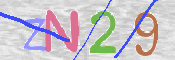 この文字を入力してください