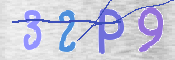 この文字を入力してください