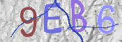 この文字を入力してください