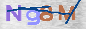 この文字を入力してください