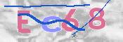 この文字を入力してください