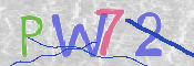 この文字を入力してください