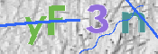この文字を入力してください