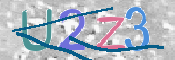 この文字を入力してください
