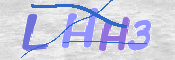 この文字を入力してください