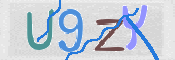 この文字を入力してください
