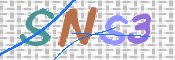 この文字を入力してください