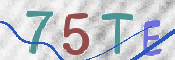この文字を入力してください
