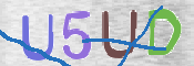 この文字を入力してください