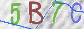 この文字を入力してください
