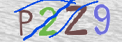 この文字を入力してください