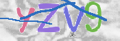この文字を入力してください