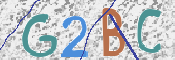 この文字を入力してください